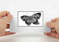 Butterfly-4x6-white-black-interior-border-horizontal-mat-hands