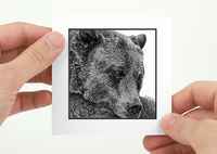 Grizzly-bear-white-mat-black-border-4x4-hands